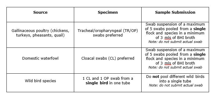 Sample Submission Table