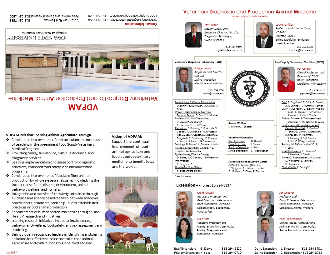 VDPAM Department Brochure